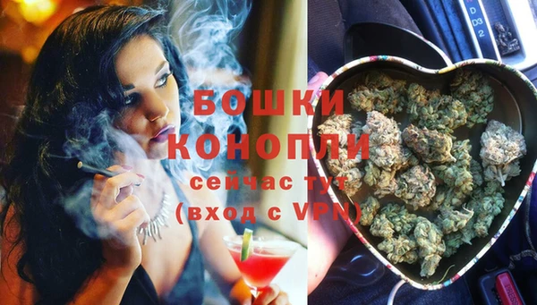 ГАЛЛЮЦИНОГЕННЫЕ ГРИБЫ Горняк