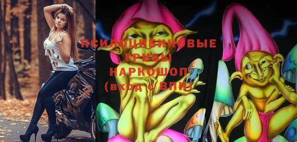 прущая мука Гусиноозёрск