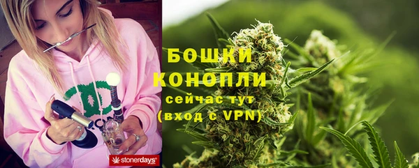 прущие грибы Гусь-Хрустальный