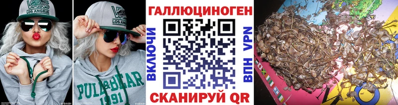 наркота  Новосибирск  Псилоцибиновые грибы мухоморы 